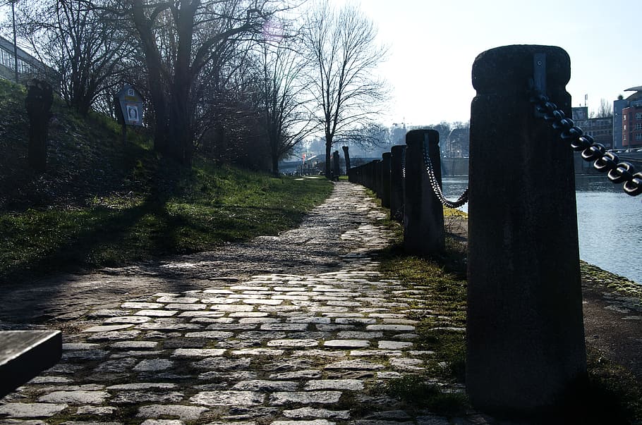 aigües, naturalesa, arbre, riu, banc, bollard, barrera, cadena, lluny, pegat, neckar, Stuttgart, el camí a seguir, direcció, arquitectura, sendera, planta, dia, cel, cap gent, arbre nu, a l'aire lliure, estructura construïda, barana, llambordes, en fila, història, cel clar, transport, tranquil·litat, llarg, 4K