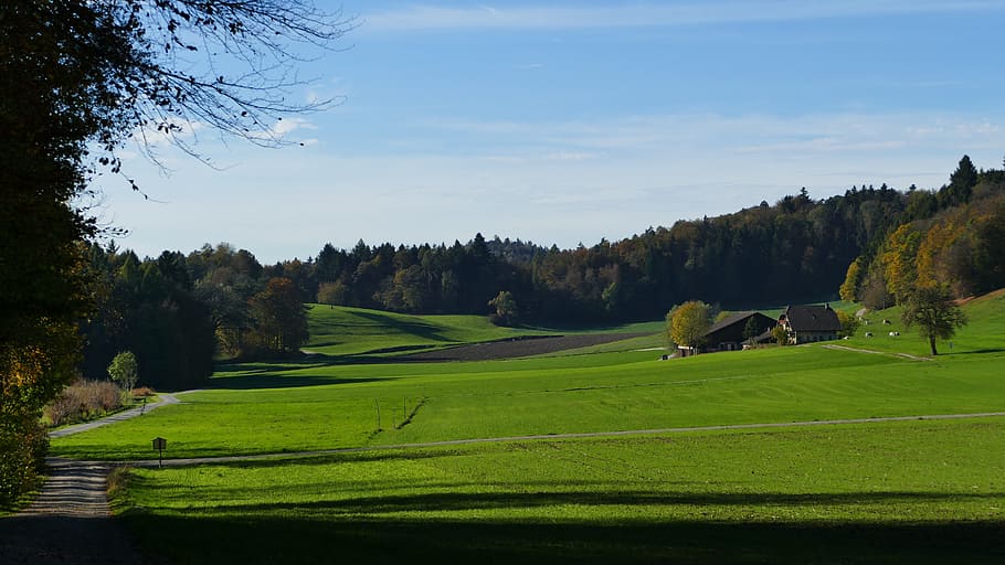 paisatge, granja, camps, reportat, sol, verd, ombra, tardor, lluny, arbre, planta, cel, escenics - natura, bellesa a la natura, color verd, herba, escena tranquil·la, naturalesa, terra, tranquil·litat, medi ambient, escena no urbana, cap gent, camp, núvol - cel, agricultura, idíl·lic, creixement, a l'aire lliure, paisatge rodant, 5K