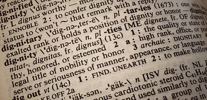 dignity, definition, dictionary, text, communication, paper, no people, law, history, message, government, architecture, backgrounds, sadness, sign, western script, book, politics, publication, healthcare and medicine, the past, memorial, 2K, CC0, public domain, royalty free