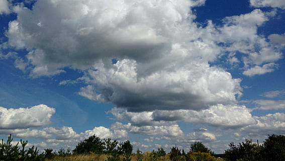 nebe, mraky, glomerulus, modrá obloha, beranů, krajina, Příroda, krásy přírody, mrak - nebe, strom, nikdo, rostlina, krása v přírodě, den, scenics - příroda, venku, životní prostředí, modrý, scéna s oblaky, zvířat, zvíře, dramatická obloha, 2K, CC0, veřejná doména, bez autorských práv
