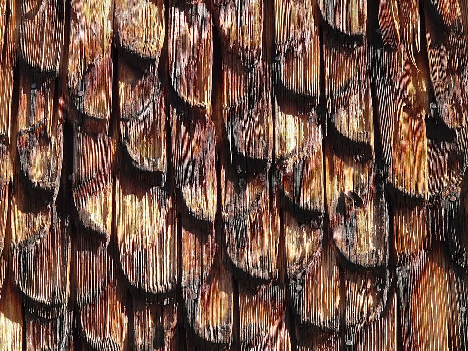 teixit, fusta, cobertes, façana, revestiment, revestiment de façana, teula de fusta, gra, edifici, paret, panell, arquitectura, fons, marc complet, menjar, material de bambú, material de fusta, menjar i beguda, patró, cap gent, textura, primer pla, marró, gran grup d'objectes, arbre, dia, disseny, abundància, directament a sobre, gra de fusta, bosc, natura morta, naturalesa, anell d’arbre, 2K