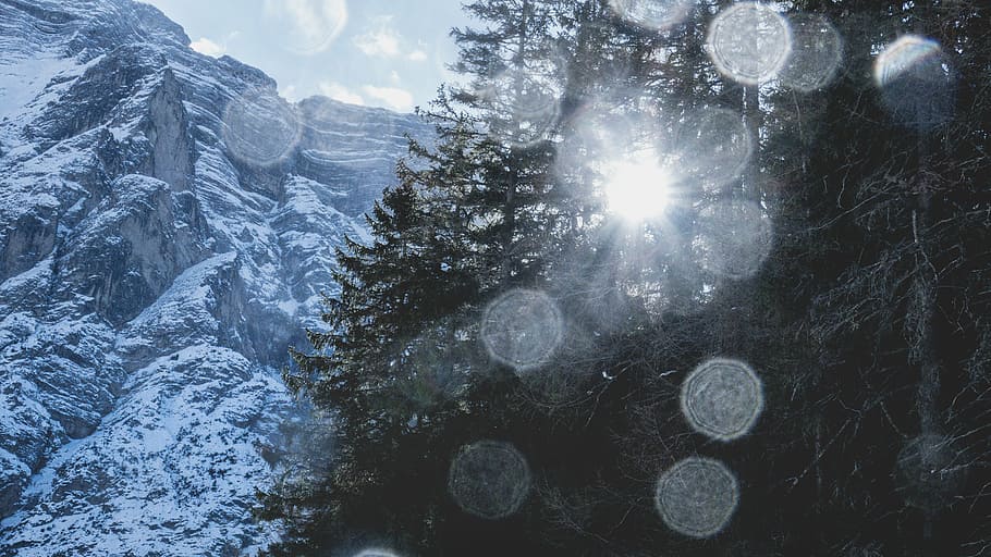 bokeh, brillant, fred, bosc, zing, congelat, gel, gelada, paisatge, muntanya, naturalesa, a l'aire lliure, escènic, temporada, neu, arbre, arbres, temps, hivern, temperatura de fred, tranquil·litat, bellesa a la natura, planta, cap gent, llum solar, escenics - natura, flare de la lent, escena tranquil·la, dia, cel, escena no urbana, muntanya nevada, arbre de coníferes, 5K