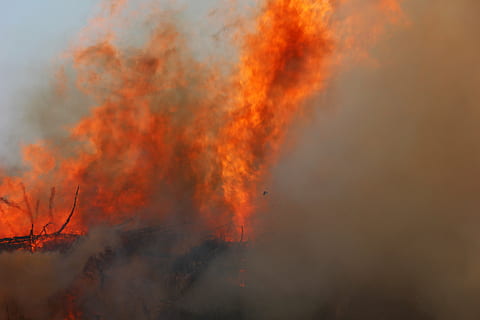 påske brand, ild, flamme, brænde, skikke, hed, blis, firelight, røg, træ, farligt, brænding, brand - naturligt fænomen, varme - temperatur, røg - fysisk struktur, skovbrand, orange farve, miljø, Skov, ingen mennesker, natur, miljøspørgsmål, miljøskader, jord, advarselsskilt, meddelelse, skønhed i naturen, skilt, udendørs, forurening, magt i naturen, luftforurening, 5K, CC0, offentligt domæne, royaltyfrie