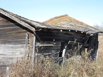 alberta, hambar, bord, textură, fantomatic, bord plăcuță, abandonat, mediu rural, istoric, în vârstă de, rugini, rural, vechi, nostalgie, lemn - material, în aer liber, nici o persoana, exteriorul clădirii, construită, arhitectură, natură, zi, cer, dărâma, clădire, lumina soarelui, casă, învechit, plantă, erodate, deteriorat, iarbă, deteriorare, 4K, CC0, domeniu public, fără drepturi de autor