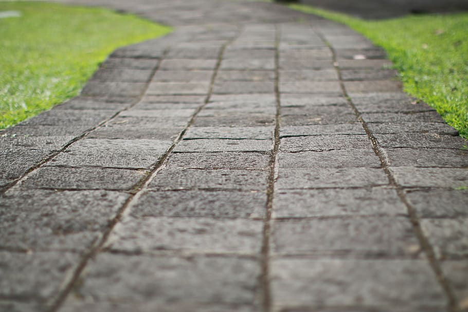 selektiv, fokus fotografering, grå, beton, fortov, sti, vej, pathway, rejse, natur, landskab, udendørs, gade, Skov, gå, parkere, grøn, sten-, mønster, naturlig, græs, vild, vejen frem, dag, ingen mennesker, sten flise, gangbro, tæt på, retning, selektiv fokusering, brosten, faldende perspektiv, i en række, plante, høj vinkel visning, park - mand skabt plads, overflade niveau, lang, 5K