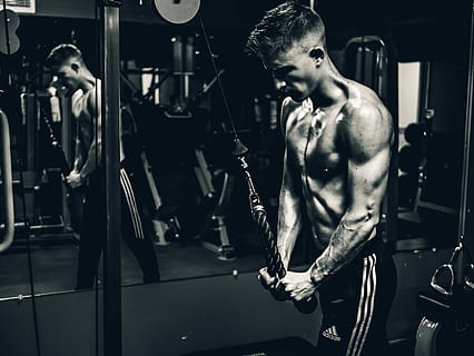 grayscale photo, man, exercising, pulling, exercise machine cable, gym, training, strong, fitness, workout, exercise, black and white, mirror, reflection, muscles, adidas, no shirt, never give up, time, muscular build, shirtless, strength, lifestyles, healthy lifestyle, sports training, one person, weight, men, young adult, wellbeing, weight training, males, sport, health club, athlete, adult, human muscle, effort, bicep, chest, physical activity, 4K, CC0, public domain, royalty free