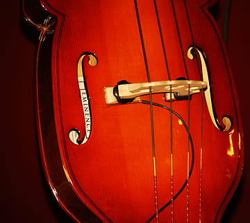 música, instrumentos, instrumento, cuerda, celo, musical, clásico, rojo, instrumento musical, musica Jazz, cultura de las artes y entretenimiento, nadie, de cerca, equipo musical, adentro, metal, dispositivo de entrada, naturaleza muerta, micrófono, actuación, instrumento de cuerda, canto, comunicación, solo objeto, centrarse en primer plano, colgando, escenario, 2K, CC0, dominio público, libre de derechos