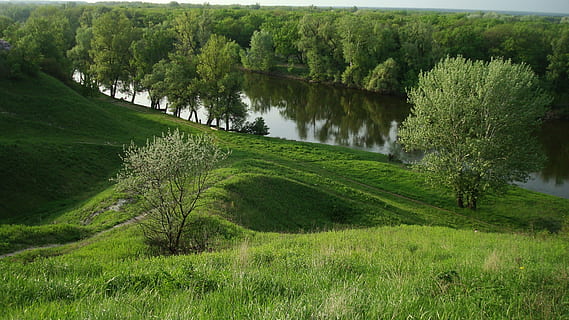 riu, primavera, arbres, planta, color verd, arbre, herba, bellesa a la natura, creixement, tranquil·litat, escenics - natura, escena tranquil·la, terra, paisatge, medi ambient, cap gent, naturalesa, camp, exuberant fullatge, dia, fullatge, aigua, a l'aire lliure, paisatge rodant, 1080P, CC0, domini públic, lliure de regalies