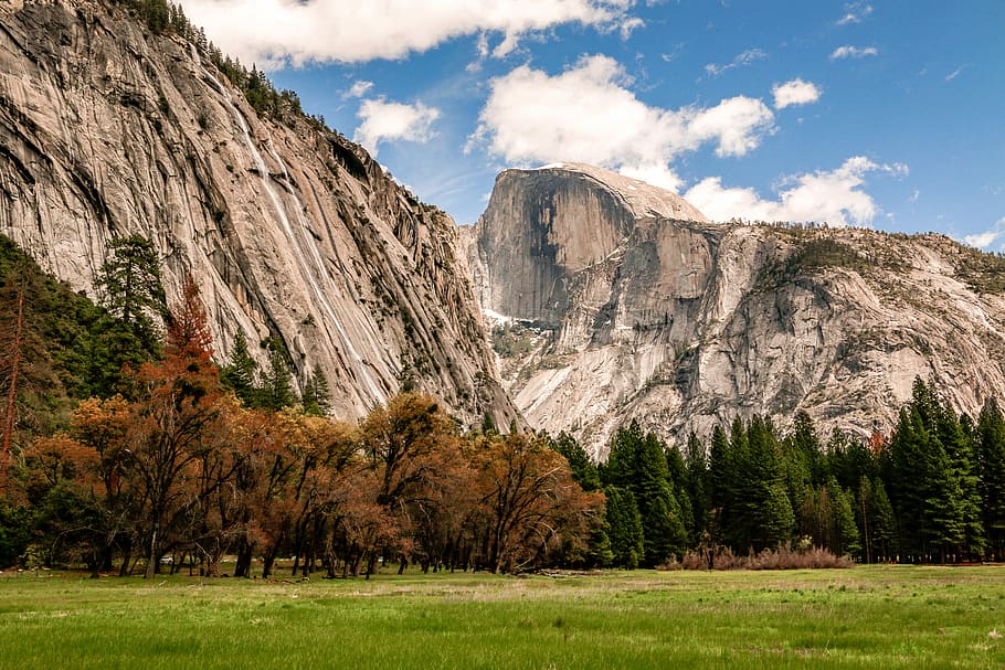 foto, verde, campo, foresta, alberi, grigio, montagna, paesaggio, scogliera, albero, erba, parco, californio, all'aperto, natura, nazionale, Yosemite, nuvola - cielo, ambiente, pianta, bellezza nella natura, cielo, scenics - natura, terra, roccia, scena non urbana, catena montuosa, destinazioni di viaggio, Pino, roccia - oggetto, nessuno, bosco di pini, albero di conifere, formazione, bosco, picco di montagna, eroso, 5K