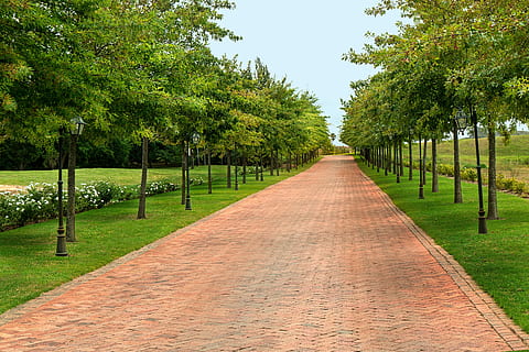 brown, bricked pathway, green, grass field, bricked, pathway, green grass, road, direction, path, destination, way, journey, forward, progress, perspective, tree lined, landscape, opportunity, travel, highway, trip, achievement, goal, ahead, transportation, future, walk, drive, driveway, entrance road, countryside, lane, alone, route, paved, asara wine estate, franschhoek, western cape, south africa, tree, outdoors, no people, grass, nature, the way forward, plant, footpath, diminishing perspective, growth, day, in a row, green color, park, treelined, vanishing point, beauty in nature, tranquility, sky, park - man made space, 5K, CC0, public domain, royalty free