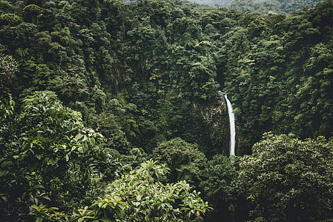 vodopády, obklopit, stromy, krajinářské fotografie, zelená, la fortuna, Příroda, strom, les, deštný prales, zelená barva, tropický deštný prales, tropické klima, venku, rostlina, nikdo, krajina, svěží zeleň, krása v přírodě, růst, scenics - příroda, vodopád, listy, přistát, den, mimoměstské scény, dlouhé expozice, pohyb, klid, idylický, klidné scény, tekoucí voda, tekoucí, padající voda, 8K, CC0, veřejná doména, bez autorských práv