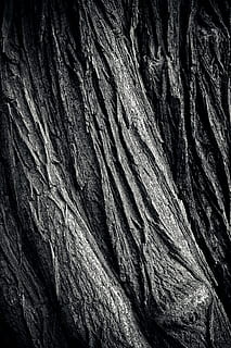 træ, bark, log, natur, stamme, Skov, struktur, knothole, tæt, gammel, baggrund, knudrede, mønster, forvitret, korn, træstruktur, gammelt træ, nuancer af brun, forvitring, sort hvid, sort og hvid, sort, hvid, sw, tekstureret, geologi, rock-objekt, ru, fuld ramme, rock formation, baggrunde, ingen mennesker, tæt på, klippe, træstamme, naturligt mønster, solid, bagagerum, dag, sejhed, udendørs, fysisk geografi, eroderet, tekstureret effekt, naturlig tilstand, sandsten, 4K, CC0, offentligt domæne, royaltyfrie