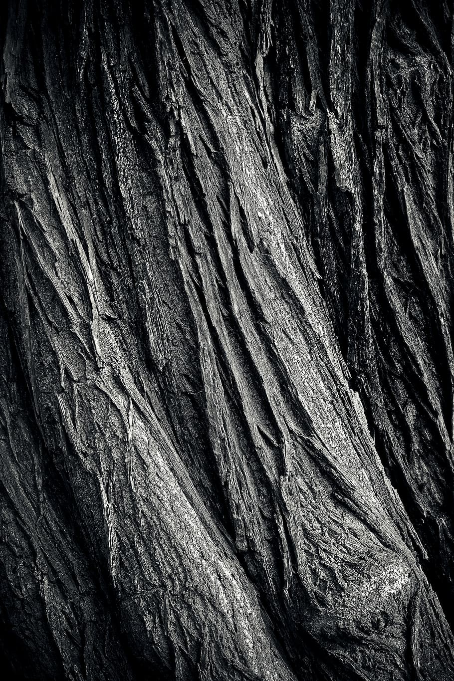 albero, corteccia di albero, ceppo, natura, tribù, legna, abbaiare, foresta, struttura, knothole, vicino, vecchio, sfondo, nodoso, modello, intemperie, grano, struttura in legno, vecchio legno, sfumature di marrone, agenti atmosferici, nero bianco, bianco e nero, nero, bianca, sw, strutturato, geologia, roccia - oggetto, ruvido, fotogramma intero, formazione rocciosa, sfondi, nessuno, avvicinamento, roccia, tronco d'albero, modello naturale, solido, tronco, giorno, durezza, all'aperto, geografia fisica, eroso, effetto strutturato, condizione naturale, arenaria, 4K