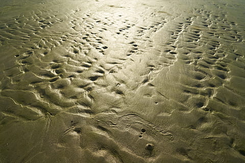 sabbia, struttura, luce, astratto, natura, ambientale, macro, dettaglio, all'aperto, riscaldamento globale, terry, screpolato, sfondo, immagine a colori, prosciugato, spiaggia, infertilità, fotografia, deserto, nessuno, modello, anidro, sfondi, Marrone, clima, agricoltura, acqua, siccità, meteorologia, fotogramma intero, terra, orma, giorno, vista dall'alto, luce del sole, strutturato, avvicinamento, stampare, bagnato, traccia di pneumatico, traccia - impronta, clima arido, 5K, CC0, dominio pubblico, privo di copyright