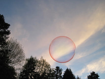 Seifenblase, schimmern, Himmel, Bäume, Wald, fliegen, bunt, schweben, schwerelos, luftig, Leichtigkeit, Schlag, Wolke, Seifenblasen machen, Baum, Pflanze, Schönheit in der Natur, Blase, Natur, wolke - himmel, gestalten, keine Leute, Flachwinkelansicht, in der Luft, Kreis, Ruhe, Geometrische Figur, Szenen - Natur, Tag, draußen, ruhige Szene, Seifenlauge, Verletzlichkeit, Wipfel, 4K, CC0, gemeinfrei, lizenzfrei