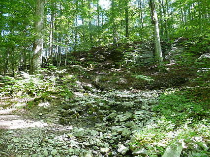 forêt, bach, la source, Plus fort, origine, origine plus fort, lautertal, furtlepass, Degenfeld, souabe, lame de verre, la nature, arbre, des bois, en plein air, paysage, paysages, personne, zone de nature sauvage, sentier, couleur verte, été, environnement, plante, scène tranquille, beauté dans la nature, journée, tranquillité, croissance, terre, paysages - nature, eau, scène non urbaine, tronc d'arbre, Téléchargement, eau qui coule, ruisseau - eau courante, écoulement, bambou - plante, 2K, CC0, domaine public, libre de droits
