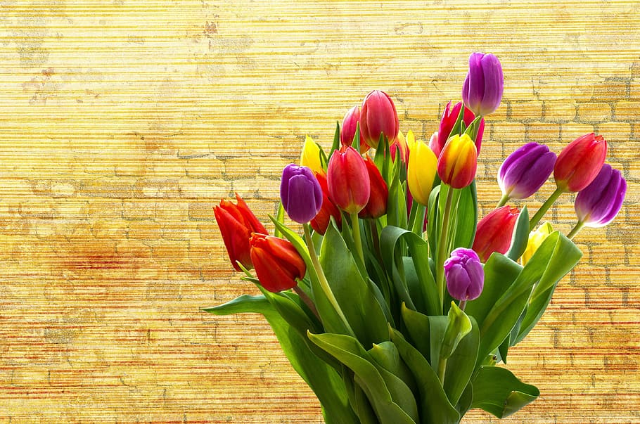 vermell, groc, porpra, ram de tulipes, tulipa, naturalesa, flor, Pasqua, planta, primavera, florir, tancar, decoració, primavera de Pasqua, colorit, fons, color, jardí, diversos colors, tulpenzwiebel, planta amb flors, frescor, bellesa a la natura, vulnerabilitat, fragilitat, pètal, primer pla, cap de flor, inflorescència, cap gent, material de fusta, color vibrant, a l'interior, color verd, color rosa, arranjament floral, Ram de flors, bouquet, 4K