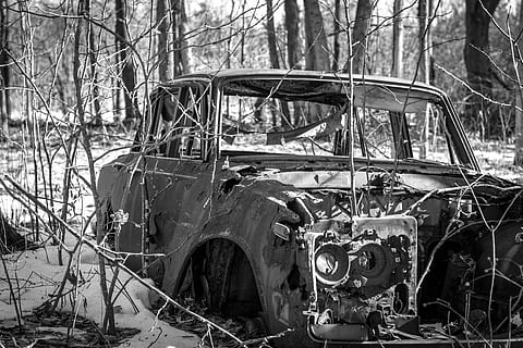bil, rust, sort, hvid, gammel, metal, køretøj, rusted, automobil, transportmidler, forvitret, alderen, forladt, grunge, rustik, beskadiget, transportform, motor køretøj, træ, forældet, land køretøj, jord, nedgang, plante, forringelse, dag, Skov, natur, ødelæggelse, kørt ned, dårlig stand, ingen mennesker, udendørs, nedrevet, ødelagt, 5K, CC0, offentligt domæne, royaltyfrie
