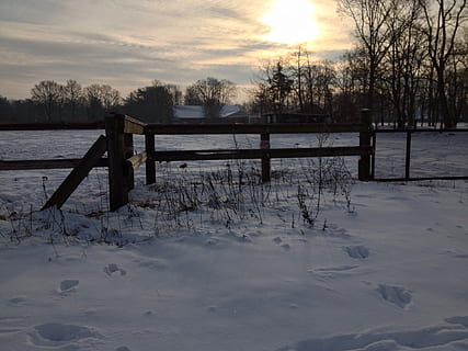vinter, snø, sol, baklys, snølandskap, solnedgang, snow, natur, innsjø, tre, vann, utendørs, landskap, elv, scenics, rolig scene, ingen folk, landlige scene, kaldtemperatur, vær, himmel, sky - himmel, skjønnhet i naturen, naturskjønnhet - natur, ro, bare tre, felt, dekker, anlegg, barriere, land, trepost, 2K, CC0, offentlig domene, opphavsrett gratis