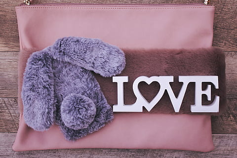 rosado, púrpura, marrón, bolsa con cremallera, parte superior, de madera, superficie, morado y marrón, bolso, encima, textil, lana, nadie, texto, comunicación, adentro, peluche, de cerca, escritura occidental, relajación, mamífero, nacional, mascotas, animales domesticos, temas de animales, animal, dormido, gato, juguete, directamente arriba, Gato domestico, mueble, descansando, emoción positiva, blandura, 1080P, CC0, dominio público, libre de derechos