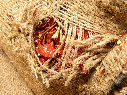 chili, krydderi, mad, skarp, taske, reb, tæt på, fuld ramme, uld, ingen mennesker, baggrunde, natur, stilleben, høj vinkel visning, tekstil, dag, mønster, fiskenet, fiskeindustrien, fiskeri, udendørs, rød, plante, sollys, sammenfiltrede, kompleksitet, blødhed, jute, 4K, CC0, offentligt domæne, royaltyfrie