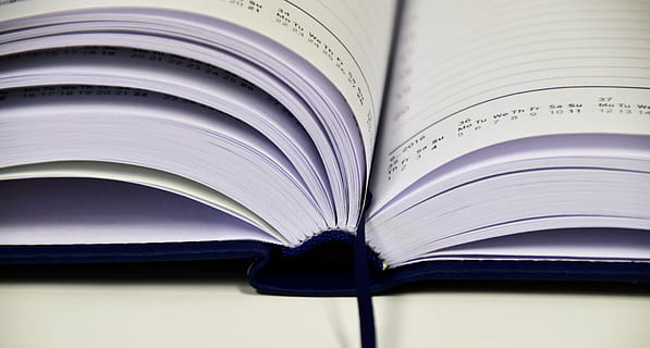 blå, hvid, Bestil, notesbog, forlade, noter, Skriv ned, dagbog, brochure, papir, gå ind, tom, bogsider, Bemærk, bog kalender, kontor, lære, undersøgelse, slog, åben bog, side, avis, uddannelse, ingen mennesker, offentliggørelse, læring, forretning, tæt på, Medierne, åben, visdom, indendørs, meddelelse, litteratur, tekst, forskning, ekspertise, læsning, dokument, selektiv fokusering, studere, lærebog, 5K, CC0, offentligt domæne, royaltyfrie