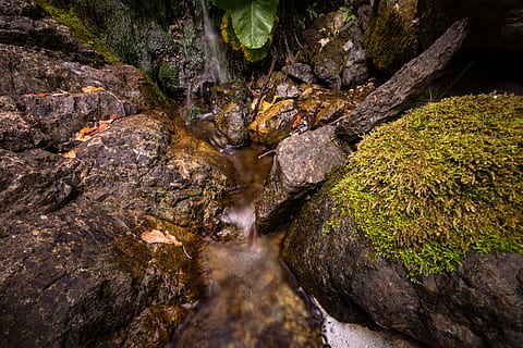 braun, Stein, Grün, Gras, Felsblock, Moos, Fluss, Felsen, Steine, Strom, Wasser, Rock, Rock - Objekt, solide, Natur, keine Leute, Pflanze, Baum, Tag, Schönheit in der Natur, Ruhe, Land, Wald, Felsformation, draußen, Nicht-städtische Szene, Wachstum, fließendes Wasser, Szenen - Natur, fließend, 5K, CC0, gemeinfrei, lizenzfrei