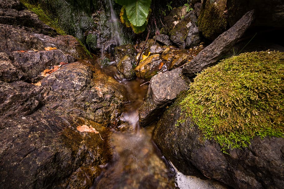 marró, pedra, verd, herba, boulder, molsa, riu, roques, pedres, corrent, aigua, rock, rock - object, sòlid, naturalesa, cap gent, planta, arbre, dia, bellesa a la natura, tranquil·litat, terra, bosc, formació de roca, a l'aire lliure, escena no urbana, creixement, aigua que flueix, escenics - natura, que flueix, rierol: aigua que flueix, 5K