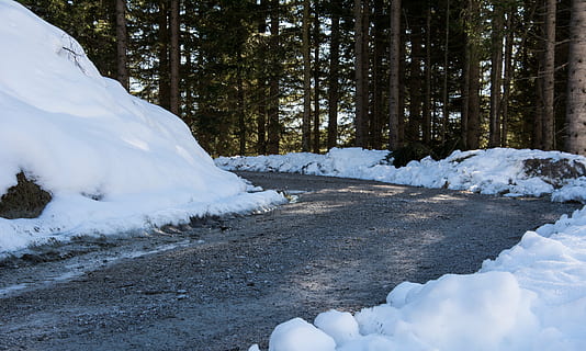 Straße, Winter, winterlich, Wald, Waldweg, Schnee, kalte Temperatur, Baum, Ruhe, weiße Farbe, Schönheit in der Natur, Tag, Natur, Pflanze, keine Leute, ruhige Szene, Land, gefroren, Szenen - Natur, Kofferraum, Baumstamm, Nicht-städtische Szene, draußen, Eis, Oberflächenniveau, schmelzen, 5K, CC0, gemeinfrei, lizenzfrei