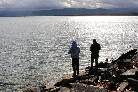 fiskeri, lystfisker, slap af, overskyet, sø, klippe, strand, efterår, Bodensee, løv, vand, hav, fritidsaktivitet, bagfra, skønhed i naturen, livsstil, stående, rigtige mennesker, herrer, natur, fuld længde, scenics - natur, to personer, rock-objekt, dag, solid, bjerg, ro, udendørs, kigger på visning, 2K, CC0, offentligt domæne, royaltyfrie