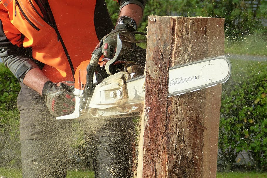 uomo, utilizzando, motosega, taglio, registro degli alberi, legna, albero, opera d'arte, scultura, casi, arte del legno, lavoro, potatura di alberi, Sega elettrica, industria del legname, taglialegna, attrezzatura, segare, segatura, legno - materiale, industria, strumento di lavoro, uomini, acqua, persone reali, giorno, natura, detenzione, una persona, all'aperto, occupazione, Sezione centrale, mano umana, pianta, protezione, cortile anteriore o posteriore, movimento, stili di vita, spruzzatura, giardinaggio, 4K