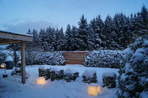 hivern, eifel, neu, temperatura de fred, arbre, planta, naturalesa, terra, bellesa a la natura, tranquil·litat, escena tranquil·la, arquitectura, cap gent, escenics - natura, cobertura, estructura construïda, cel, camp, Color blanc, bosc, a l'aire lliure, pi, arbre de coníferes, casa de camp, nevar, muntanya nevada, 2K, CC0, domini públic, lliure de regalies