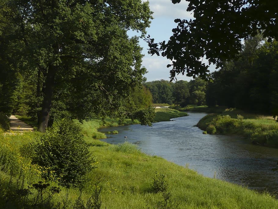 Nysa, rzeka, Niemcy, Polska, Zielony, roślina, drzewo, zielony kolor, spokój, woda, wzrost, spokojna scena, piękno natury, Natura, trawa, żadnych ludzi, scenics - natura, wylądować, niebo, dzień, las, scena pozamiejska, na dworze, 2K