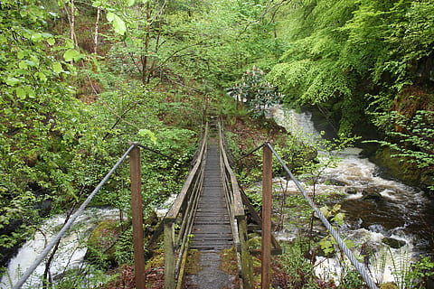 pont, cascada, paisatge, desert, natural, salvatge, a l'aire lliure, medi ambient, vista, escènic, terra, naturalesa, bosc, arbre, selva tropical, sendera, pluja tropical, pont - estructura feta per l'home, senderisme, color verd, riu, muntanya, passarel·la, escenics, cap gent, dia, material de fusta, planta, connexió, aigua, creixement, el camí a seguir, pont de corda, bellesa a la natura, estructura construïda, tranquil·litat, direcció, escena no urbana, perspectiva decreixent, aigua que flueix, 1080P, CC0, domini públic, lliure de regalies
