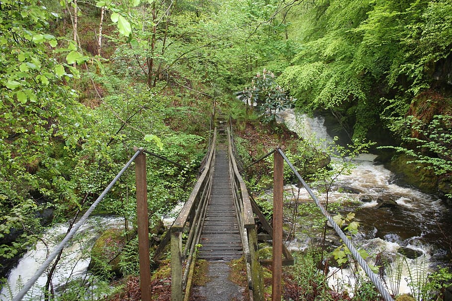 pont, cascada, paisatge, desert, natural, salvatge, a l'aire lliure, medi ambient, vista, escènic, terra, naturalesa, bosc, arbre, selva tropical, sendera, pluja tropical, pont - estructura feta per l'home, senderisme, color verd, riu, muntanya, passarel·la, escenics, cap gent, dia, material de fusta, planta, connexió, aigua, creixement, el camí a seguir, pont de corda, bellesa a la natura, estructura construïda, tranquil·litat, direcció, escena no urbana, perspectiva decreixent, aigua que flueix, 1080P
