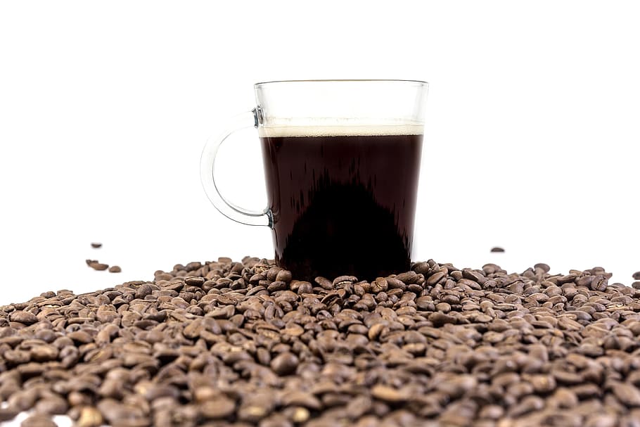 fagioli, semi, nero, fermentato, caffè, caldo, cibo e bevande, bere, sfondo bianco, rinfresco, chicco di caffè tostato, girato in studio, in casa, bicchiere, natura morta, cibo, freschezza, avvicinamento, caffè - bevanda, vetro - materiale, nessuno, Marrone, boccale, tazza, caffeina, 4K