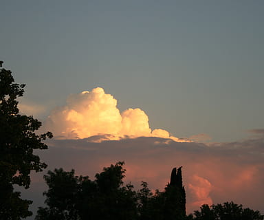 witte wolk, boom silhouet, landschap, avond, hemel, natuur, cloudscape, donkerroze wolkenbank, reflecterend zonlicht, zonsondergang, pinky peachy tinten, boom, fabriek, schoonheid in de natuur, wolk - lucht, silhouet, scenics - natuur, kalmte, geen mensen, groei, rustige scène, lage hoekweergave, Oranje kleur, kopie ruimte, buitenshuis, idyllisch, niet-stedelijke scène, architectuur, kruin, 1080P, CC0, publiek domein, royaltyvrij