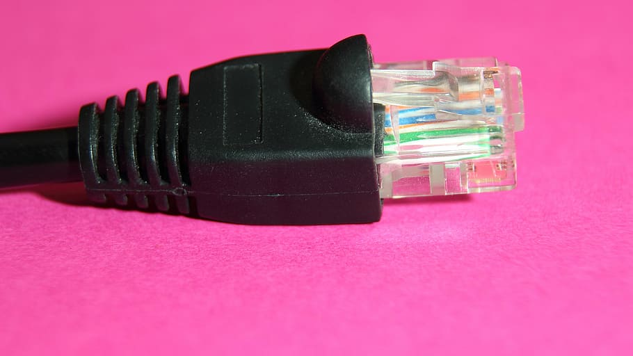 pc, prop, forbindelse, perifer, netværk, hardware, EDP, tilslutningskablet, computer, computer tilbehør, datakabel, teknologi, makro, tæt på, netværkskabler, farvet baggrund, studio skud, kabel, meddelelse, indendørs, computer kabel, netværksforbindelsestik, computer netværk, lyserød farve, internet, trådløs teknologi, ingen mennesker, stilleben, enkelt objekt, udstyr, telefon, global kommunikation, 4K