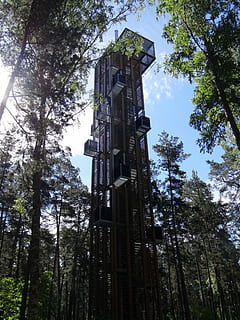 niedrig, Winkel Foto, Gebäude, tagsüber, kleiner Winkel, Foto, die Architektur, gebaute Struktur, Turm, Himmel, Wolkenkratzer, große Höhe, Baum, Flachwinkelansicht, Wald, Geschichte, Tag, Pflanze, Natur, keine Leute, Wachstum, draußen, Gebäudehülle, Sonnenlicht, Land, Baumstamm, Kofferraum, Religion, 2K, CC0, gemeinfrei, lizenzfrei
