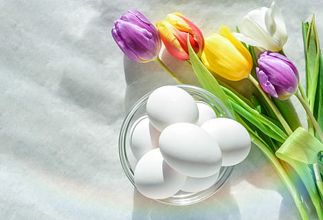 blanc, ous, clar, bol, flor, naturalesa, Pasqua, flora, floral, tulipa, pètal, primavera, còpia espai, planta, colorit, decoració, frescor, bellesa a la natura, multicolor, planta amb flors, ou, fragilitat, vulnerabilitat, porpra, cap gent, cap de flor, ou de Pasqua, inflorescència, festa, primer pla, arranjament floral, Ram de flors, bouquet, 4K, CC0, domini públic, lliure de regalies