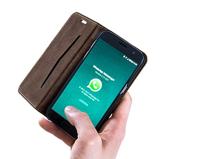 คน, โฮลดิ้ง, โทรศัพท์, แสดง, แอพ Whatsapp, เทคโนโลยี, อิเล็กทรอนิกส์, อินเทอร์เน็ต, ข้อมูล, สัมพันธ์, whatsapp, การบันเทิง, การสื่อสาร, ผู้สื่อสาร, มาร์ทโฟน, ไร้สาย, ข่าวสาร, ออกจาก, มือมนุษย์, มือ, พื้นหลังสีขาว, สตูดิโอยิง, ส่วนหนึ่งของร่างกายมนุษย์, ใกล้ชิด, สีเขียว, พื้นที่การคัดลอก, ตัดออก, คนคนหนึ่ง, เทคโนโลยีไร้สาย, ในบ้าน, นิ้ว, นิ้วของมนุษย์, อุปกรณ์ข้อมูลพกพา, สมาร์ทโฟน, 4K, CC0, โดเมนสาธารณะ, ค่าลิขสิทธิ์ฟรี