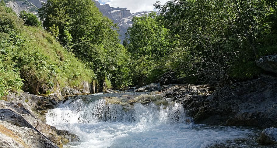 vandfald, bjerg stream, strømfald, landskab, vild, natur, flod, strøm, vand, Skov, flydende vand, scenics, udendørs, træ, bjerg, rock-objekt, grøn farve, skønhed i naturen, hurtig, sommer, ingen mennesker, plante, bevægelse, scenics - natur, klippe, vækst, jord, solid, dag, flyder, magt i naturen, regnskov, 4K