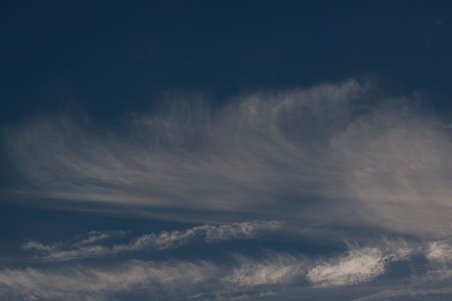 núvols cirrus, cel blau, núvols, blau, cel, núvol, clar, assolellat, bonic, cirrus, federwolke, al matí, cristalls de gel fins, fibra fina, fibratus, fons, núvol - cel, bellesa a la natura, naturalesa, escenics, cel només, tempesta, cel dramàtic, cloudscape, núvol de tempesta, escenics - natura, vent, atmosfera, cap gent, medi ambient, a l'aire lliure, dia, Wispy, meteorologia, fosc, ominós, pluja, 4K