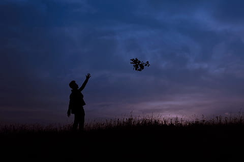 silueta, muž, západ slunce, házení, větev stromu, v noci, fotografie, osoba, otevřené pole, zlatá hodina, Příroda, nebe, lidé, venku, podsvícený, muži, dítě, jedna osoba, soumrak, pole, mrak - nebe, přistát, rostlina, skutečných lidí, krása v přírodě, stojící, volnočasové aktivity, životního stylu, scenics - příroda, lidské paže, krajina, zvedl ruce, 5K, CC0, veřejná doména, bez autorských práv
