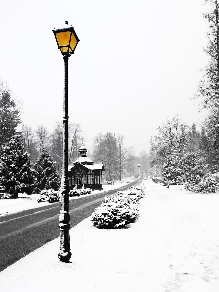 schwarz, Laternenmast, bedeckt, Schnee, Antike Architektur, kalt, elegant, uralt, die Architektur, glühen, Lampe, Laterne, Licht, alt, Park, Romantik, romantisch, scheinen, Himmel, Straße, Stadt, Dorf, Winter, Tschechisch, Republik, Schwarz und weiß, draußen, kalte Temperatur, Baum, schneit, Strassenlicht, Pflanze, Lichtanlage, Natur, keine Leute, Tag, Richtung, klarer Himmel, Abdeckung, Transport, der Weg nach vorn, Stadt, 4K