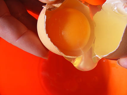 gebroken, ei, eieren, binnen, eicel, geel, eierdooier, voedsel, drinken, eten en drinken, hand-, versheid, menselijke hand, gezond eten, detailopname, Oranje kleur, binnenshuis, welzijn, bezit, een persoon, echte mensen, eigeel, menselijk lichaamsdeel, fruit, Oranje fruit, oranje, glas, vinger, 2K, CC0, publiek domein, royaltyvrij