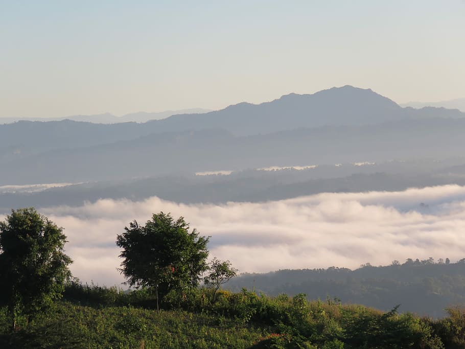 nilgiri, núvol, arbre, naturalesa, cel, paisatge, a l'aire lliure, muntanya, turó, calma, bangladesh, mount, alt, turisme, assolellat, viatjar, bellesa a la natura, escena tranquil·la, escenics - natura, tranquil·litat, planta, medi ambient, escena no urbana, cap gent, núvol - cel, Serra, idíl·lic, creixement, terra, remot, boira, 4K