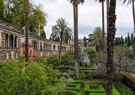 arquitectura, arbre, edifici, vell, viatjar, palmell, turisme, ciutat, antiguitat, naturalesa, planta, paret, espanya, andalusia, sevilla, alcazar, palau, cel, núvol - cel, creixement, cap gent, color verd, Palmera, dia, tronc, tronc de l'arbre, estructura construïda, clima tropical, exterior de l'edifici, a l'aire lliure, bellesa a la natura, història, el passat, palmera de coco, 4K, CC0, domini públic, lliure de regalies