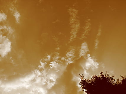 Wolke, Himmel, Wolken bilden sich, Wolken, abendstimmung, Abendhimmel, Nachglühen, Sepia, Silhouette, romantisch, Dämmerung, wolke - himmel, Schönheit in der Natur, Flachwinkelansicht, Sonnenuntergang, Baum, Szenen - Natur, Natur, keine Leute, Ruhe, orange Farbe, draußen, Pflanze, ruhige Szene, Dramatischer Himmel, idyllisch, Sonnenlicht, Hintergründe, 2K, CC0, gemeinfrei, lizenzfrei