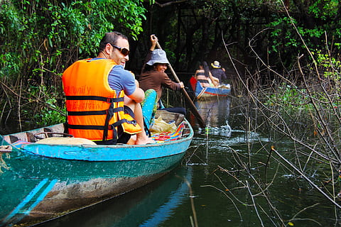 gente, equitación, bote, cuerpo, agua, flotante, bosque, bosque flotante, verde, arboles, hermoso, turistas, kompong phluk, kampong, excursión, pueblos, inundado, mangle, bosque de mangle, siem cosechar, Camboya, local, viaje, tropical, Asia, temporada, barco náutico, río, naturaleza, al aire libre, lago, verano, hombres, transporte, planta, modo de transporte, día, árbol, grupo de personas, sentado, gente real, adulto, machos, unión, frente al mar, 2K, CC0, dominio público, libre de derechos